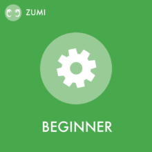 zumi_beginner