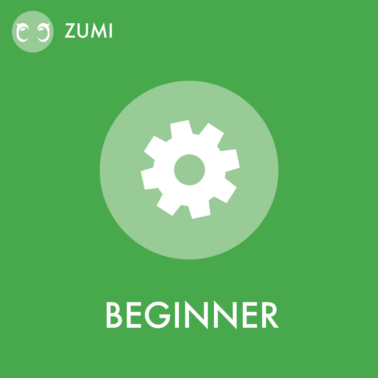 zumi_beginner