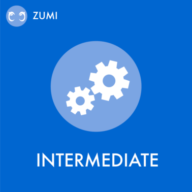 zumi_intermediate