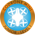 Earn your CoDrone Mini Junior Level 1 badge after learning about flight events and flight directions.