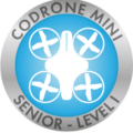 Earn your CoDrone Mini Senior Level 1 badge after learning about flight events and flight directions.
